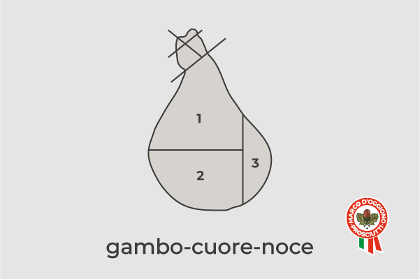 gambo cuore noce
