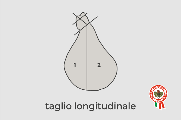 longitudinale